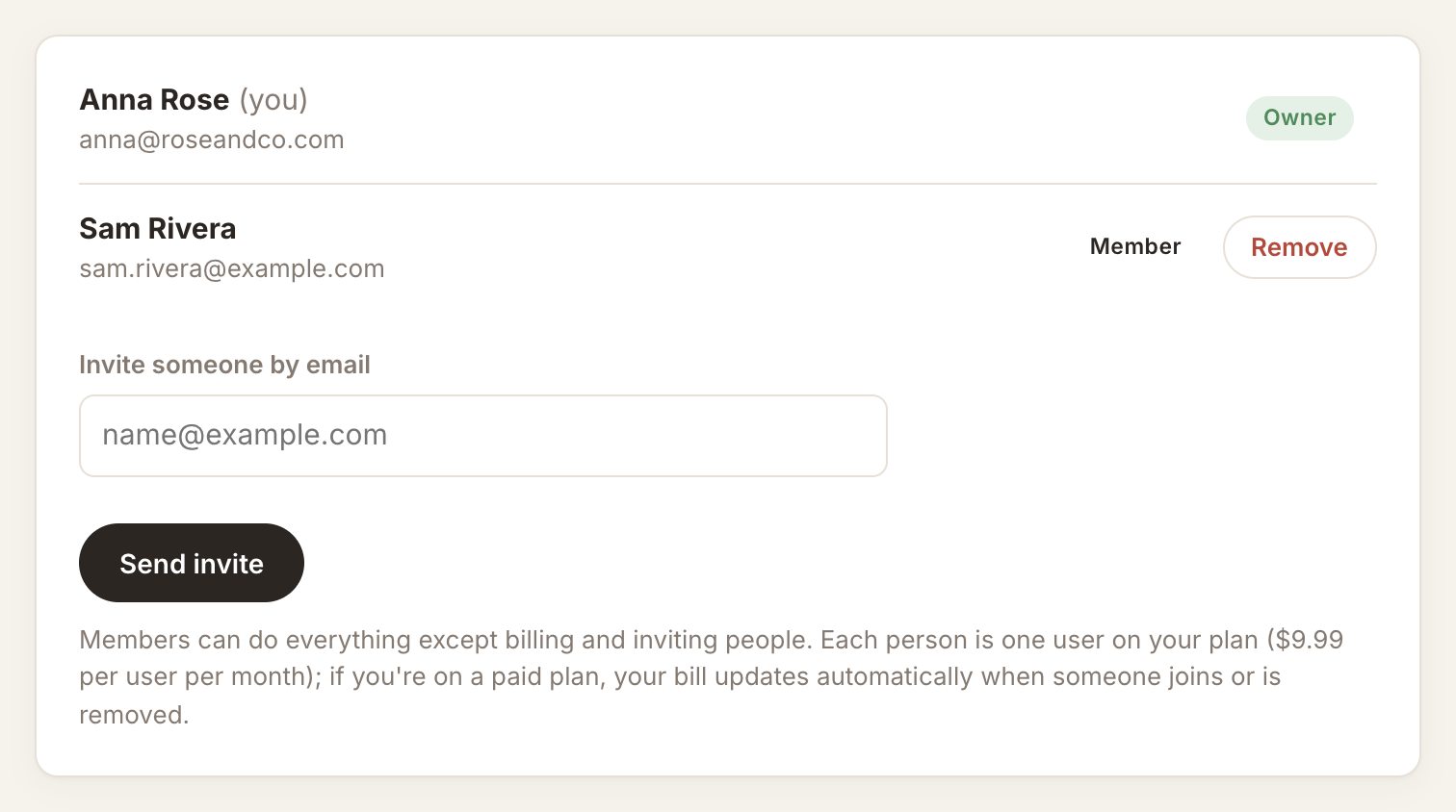 The Team tab listing the owner and a member